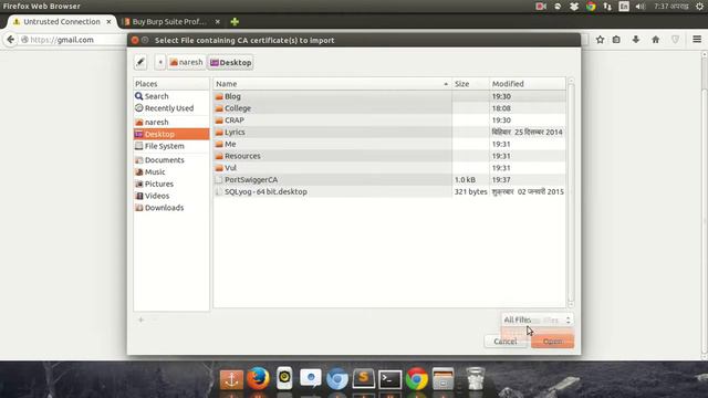 Fixing Burp Suite SSL Error смотреть онлайн