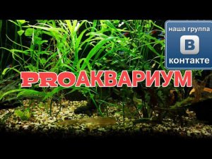 ИНФОРМАЦИЯ О ГРУППЕ ВКОНТАКТЕ