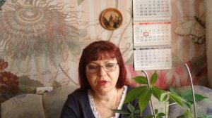 Что выросло из китайских семян вместо #бугенвиллеи?