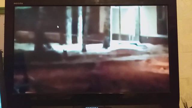 Заглянула в город наш лиса смотреть онлайн