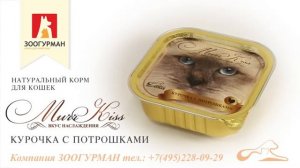 Курочка с потрошками «МуррКисс»