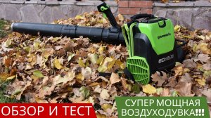 Аккумуляторная воздуходувка Greenworks GD60BPB обзор и борьба с листвой