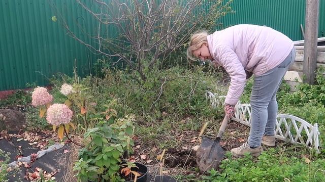 День на Даче. Подготовка земляники, пересадка гортензий, заказ с сайта Агрофирмы Партнер. смотреть онлайн