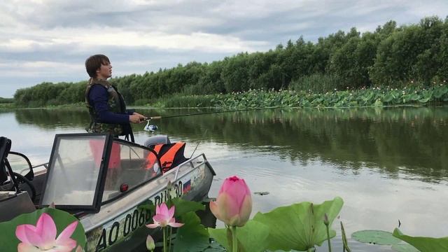 Aстрахань.mp4 смотреть онлайн