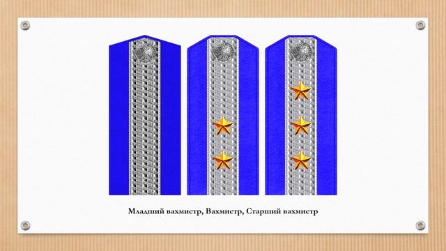 Знаки различия казаков постсоветской России смотреть онлайн