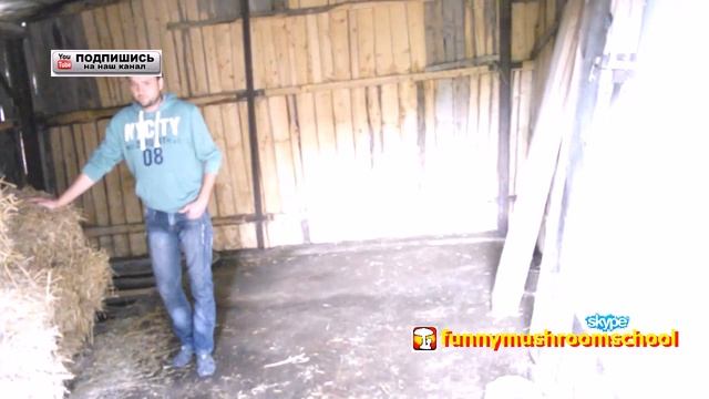 Как правильно хранить солому для блоков Вешенки смотреть онлайн