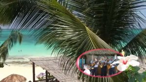 Paradisus Rio de Oro