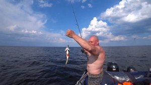 Рыбалка на Ладожском озере/Открытие сезона!