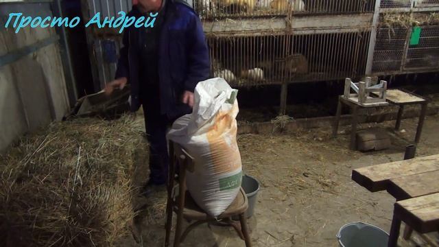 Чем кормлю НУТРИЙ сено и мешанка зима смотреть онлайн