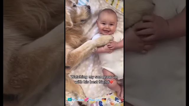 Интересное видео про животных