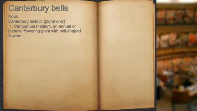 What does Canterbury bells mean?