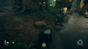 Ancestors: The Humankind Odyssey. Прохождение. Часть 1 (Симулятор обезьяны)