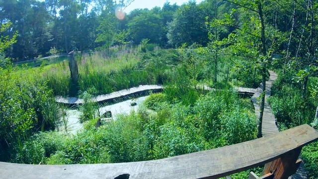 Парк музыкантов в Шекветили, Грузия | Куда поехать из Батуми на машине на один день? смотреть онлайн