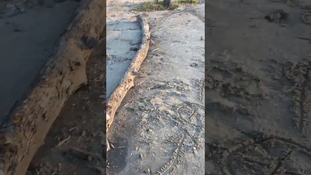 Анюта ищет клад на берегу реки Дон смотреть онлайн