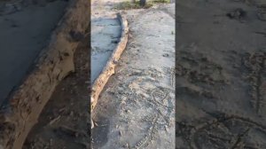 Анюта ищет клад на берегу реки Дон