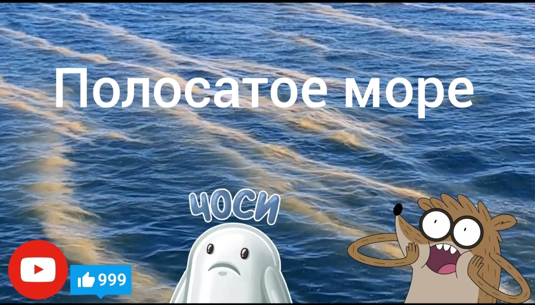 ВОДОРОСЛИ В ЭЛЬБЕ