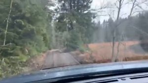 Дорога в кемпинг Папоротник (Карелия)