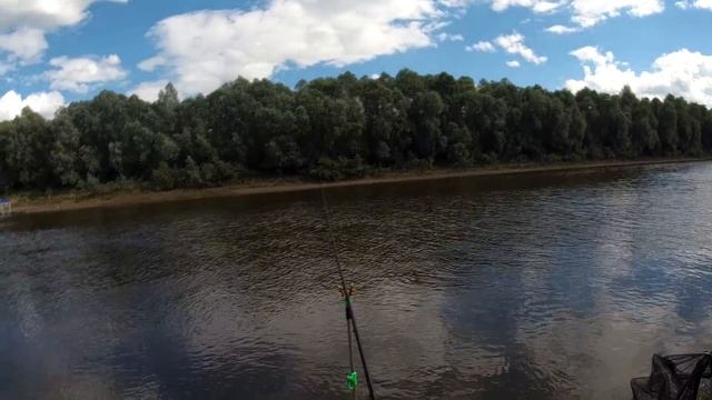 Рыбалка на Фидер р. Десна ! клев как на белых камнях ))) мелочь атакует ! смотреть онлайн