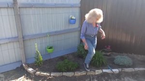 ТОП 5 Моих лучших клумб в этом дачном сезоне