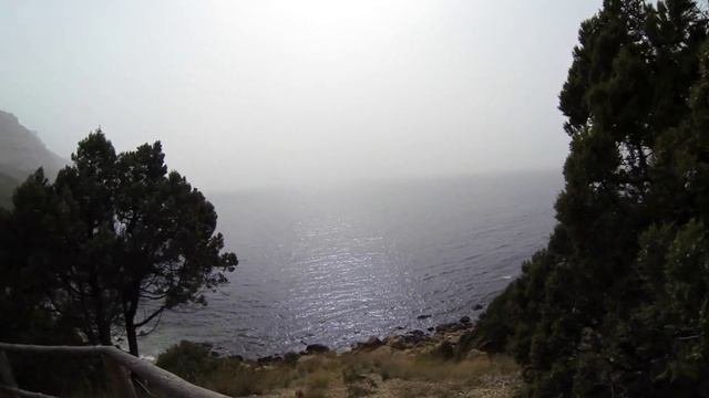 БАЛАКЛАВА. КРЫМ. 2016. Севастопольская тропа. Ландшафтный заказник «Мыс Айя». Урочище Аязьма. Инжир