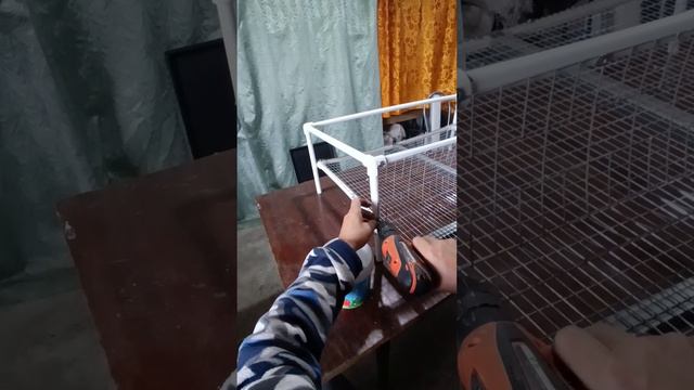 Пластиковая клетка для перепелов. 
пошаговая инструкция по сборке.