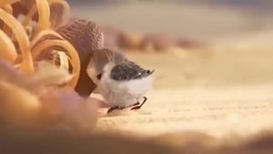 piper pixar short film 2016 full