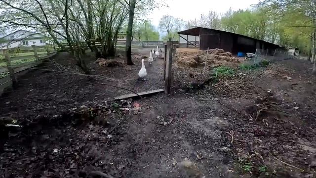 СПУСКАЮ ПРУД -LIFE смотреть онлайн