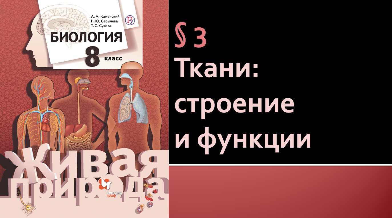 Параграф 3. Ткани: строение и функции