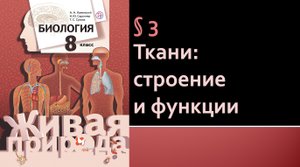 Параграф 3. Ткани: строение и функции