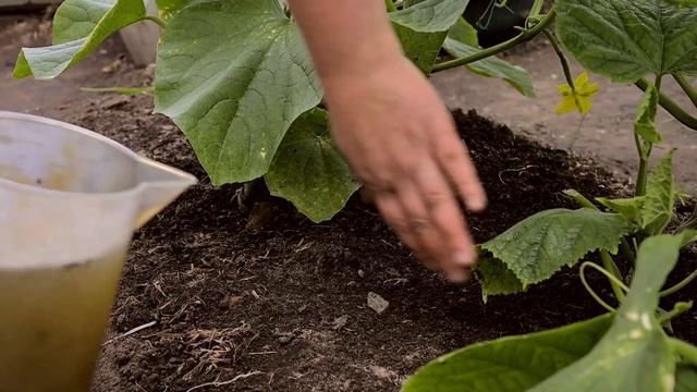 Грабли-блог №3 смотреть онлайн