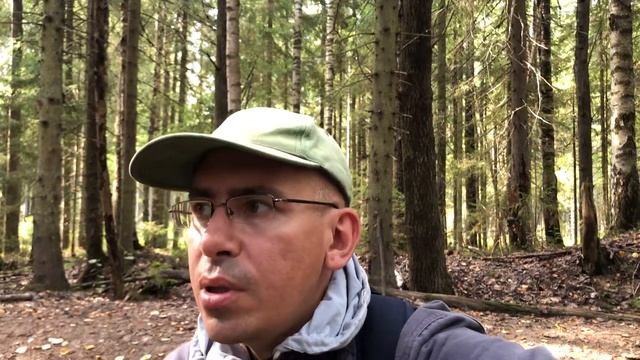 Грибы за Пасторским озером ЛО 13.09.2023г.