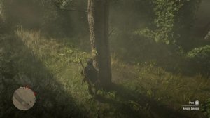 Red Dead Redemption 2: All 5 Spider Orchids Locations