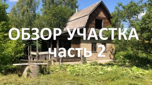 Обзор участка. Часть 2 #дом_муза