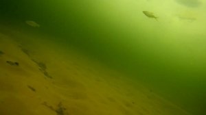 Зимняя рыбалка на КВХ(Красноярское водохранилище) 08.03.2020..Подводные съемки рыбы зимой.