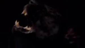 cradle of filth-born in a burial gown(offiical video)