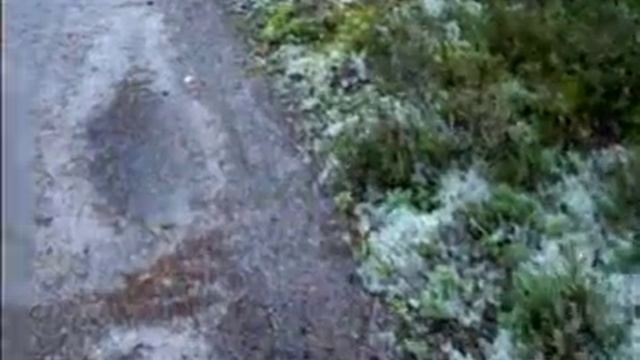 Поход за грибами смотреть онлайн