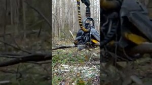 Харвестер.Оператор трактора.Механизированная валка леса!