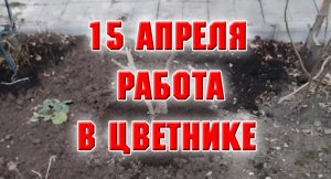15 апреля. Обрезала и подвязала виноград. Начала работу в клумбе с гортензиями.mp4
