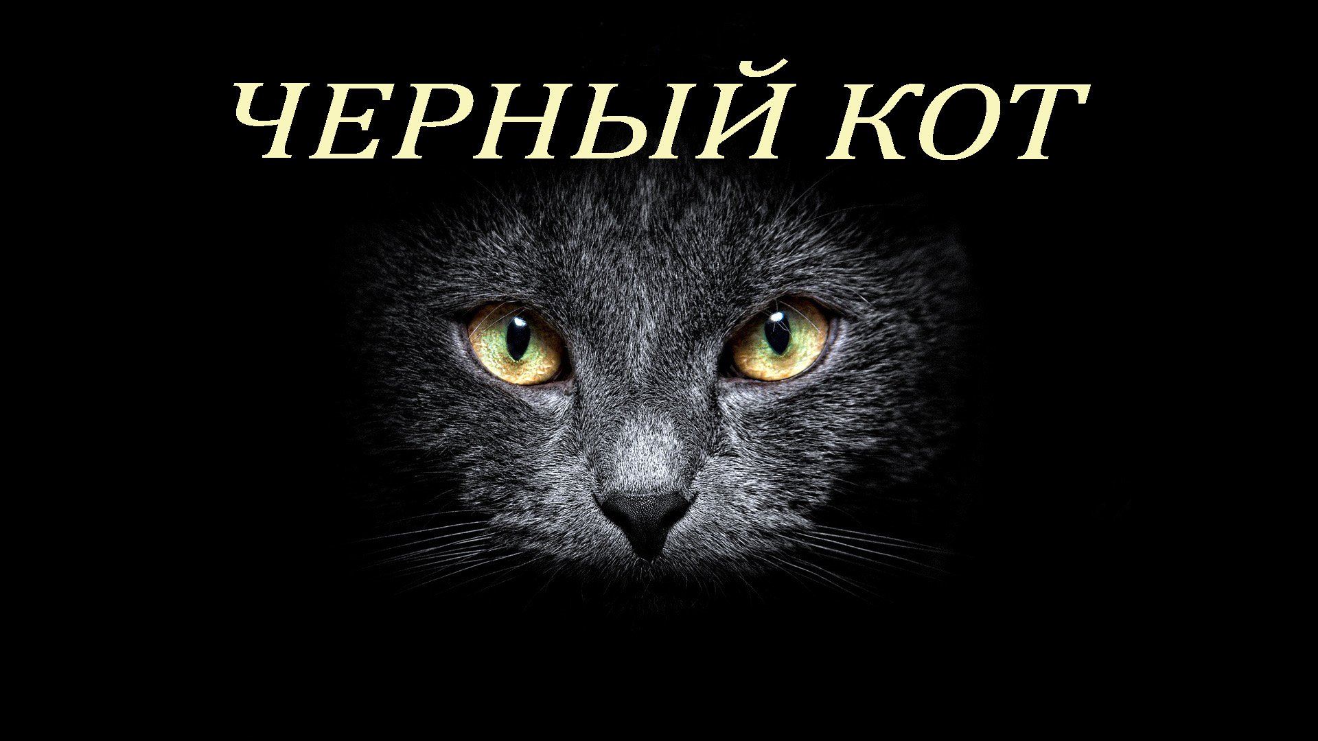 Черный кот песня слушать