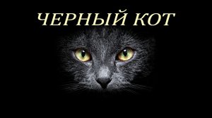 Чёрный кот Тамара Миансарова