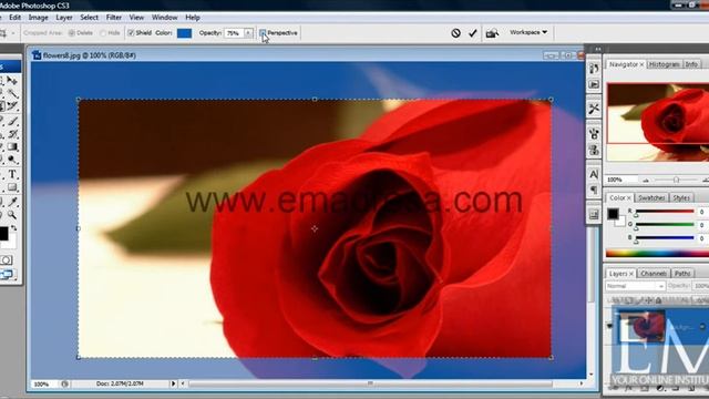 How to use Crop Tool In Adobe Photoshop in URDU смотреть онлайн