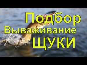 Вываживание щуки прыжки и свечи зубастой.