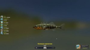 Колюшка трехиглая 17 грамм, базовый трофей, игра Трофейная рыбалка 2, река Дунай, База