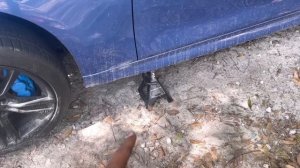 How to Replace A Alternator On A BMW n55 f30 335i  #diy #howto #bmw