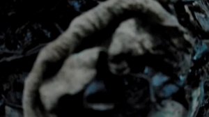 Выращиваю навозных червей зимой