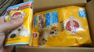 Бесплатный корм для щенков от  Pedigree