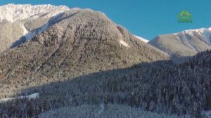 Стихи над миром. Марина Соковнина «Кто такие Дон Кихоты»,  Мишель Емельянов «Песенка Дон Кихота»