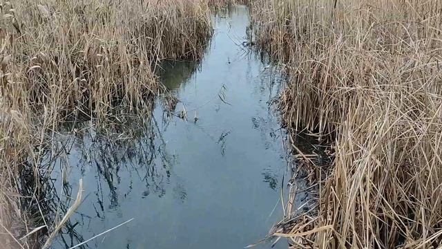 Сбываются ли сны , которые снятся утром... ЧТО это значит... смотреть онлайн