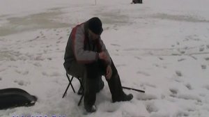 Ловля плотвы на безмотылку на Рыбинке