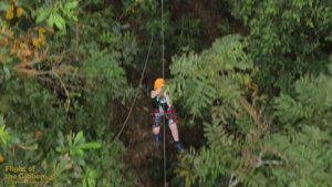 Экскурсия полет Гиббона в Паттайе Flight of the Gibbon